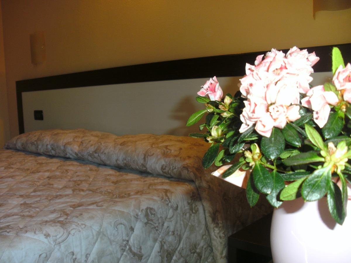 Room b&b Image