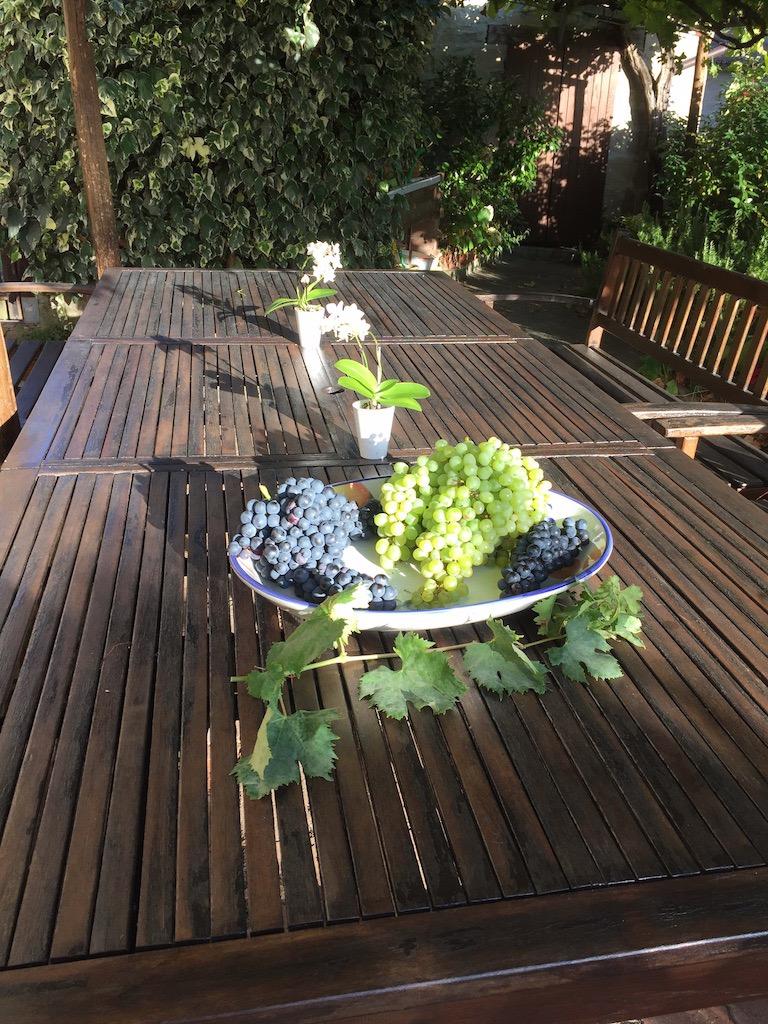 La colazione di 6STANCO