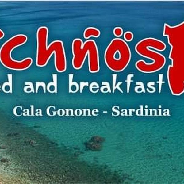  B&B Ichnos