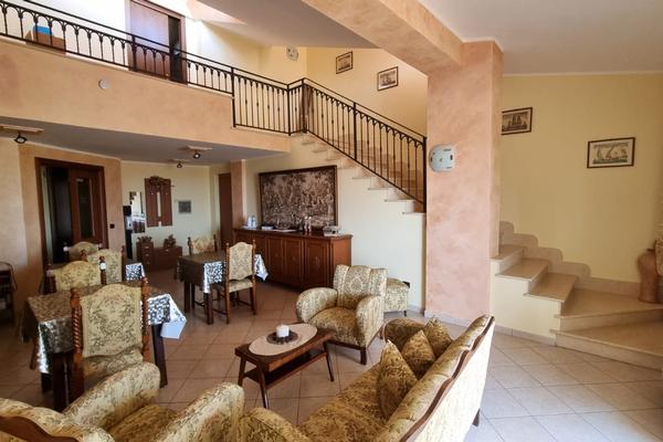 Bruno B&B