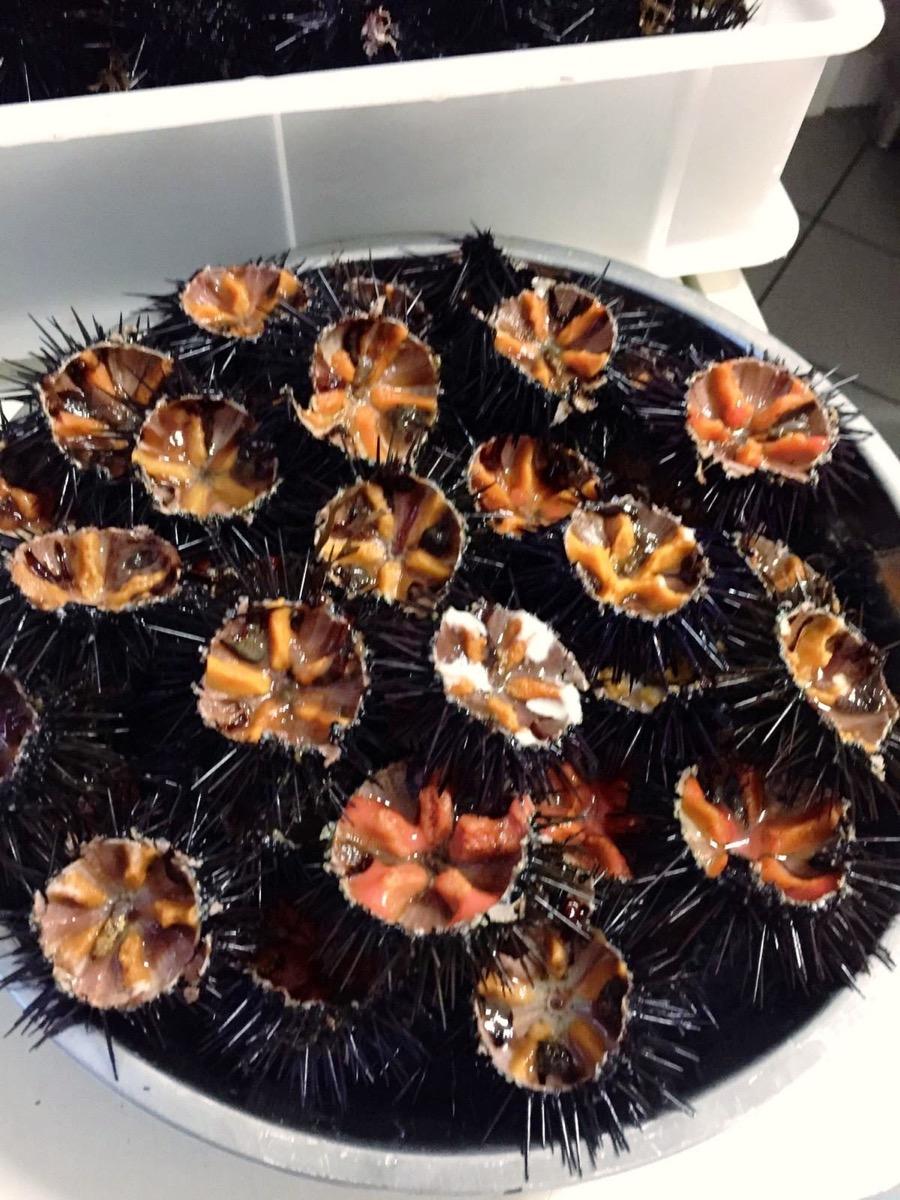 Il ristorante di ARIBRÌ