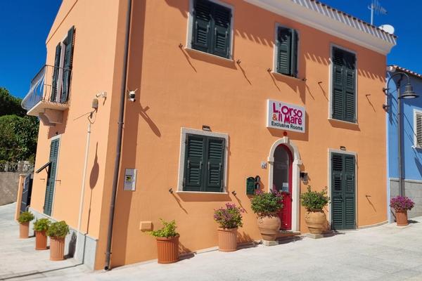 L'Orso e il Mare - Adults Only