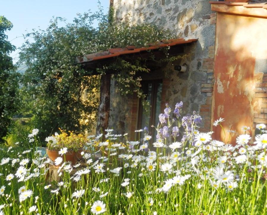 l'entrata del Seccatoio