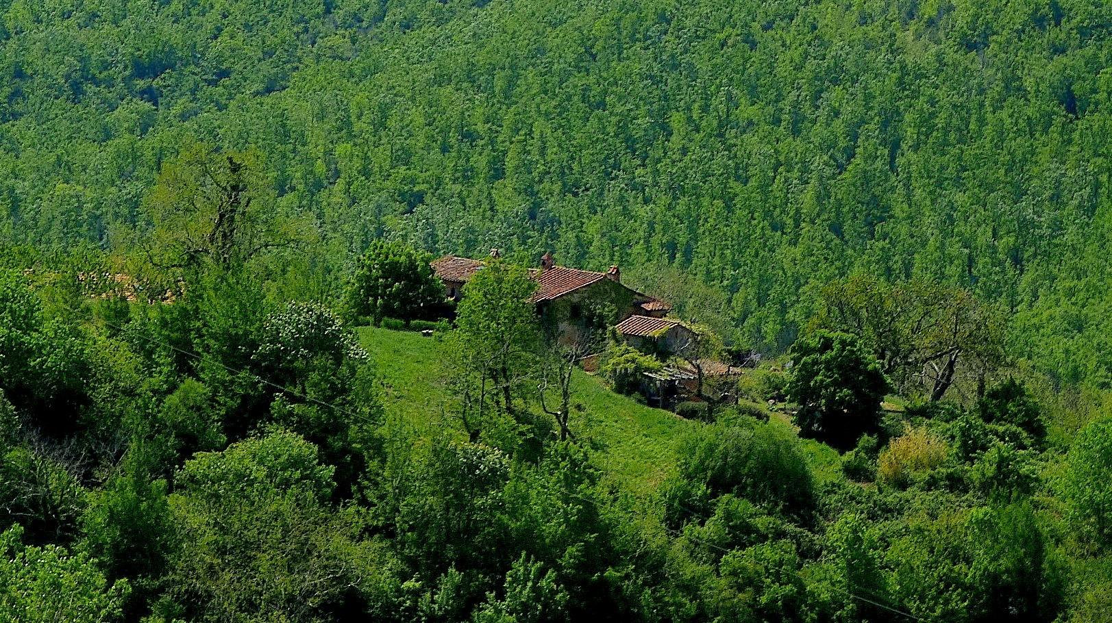 Podere di Maggio nella valle del Fiora
