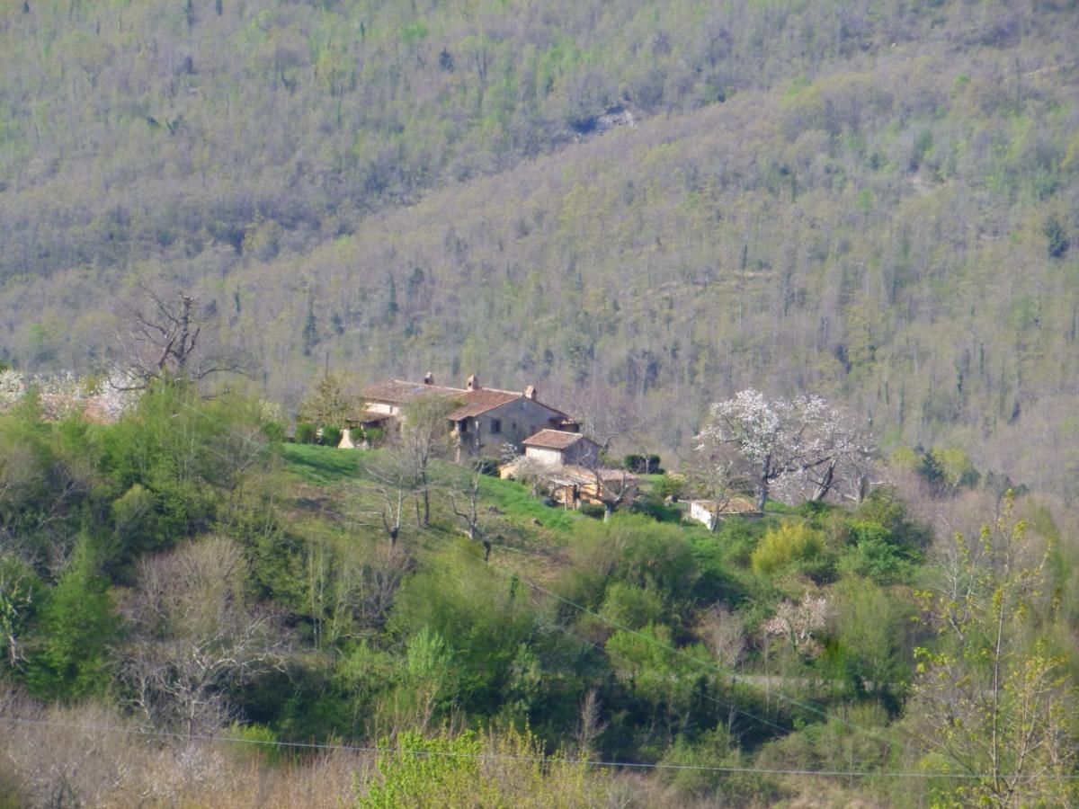 Podere di Maggio nella valle del Fiora