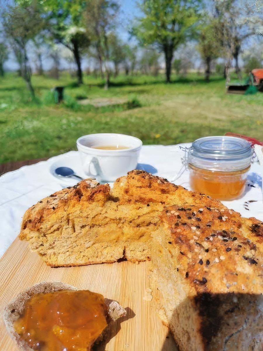 La colazione di LA FATTORIA DEL BOSCHETTO