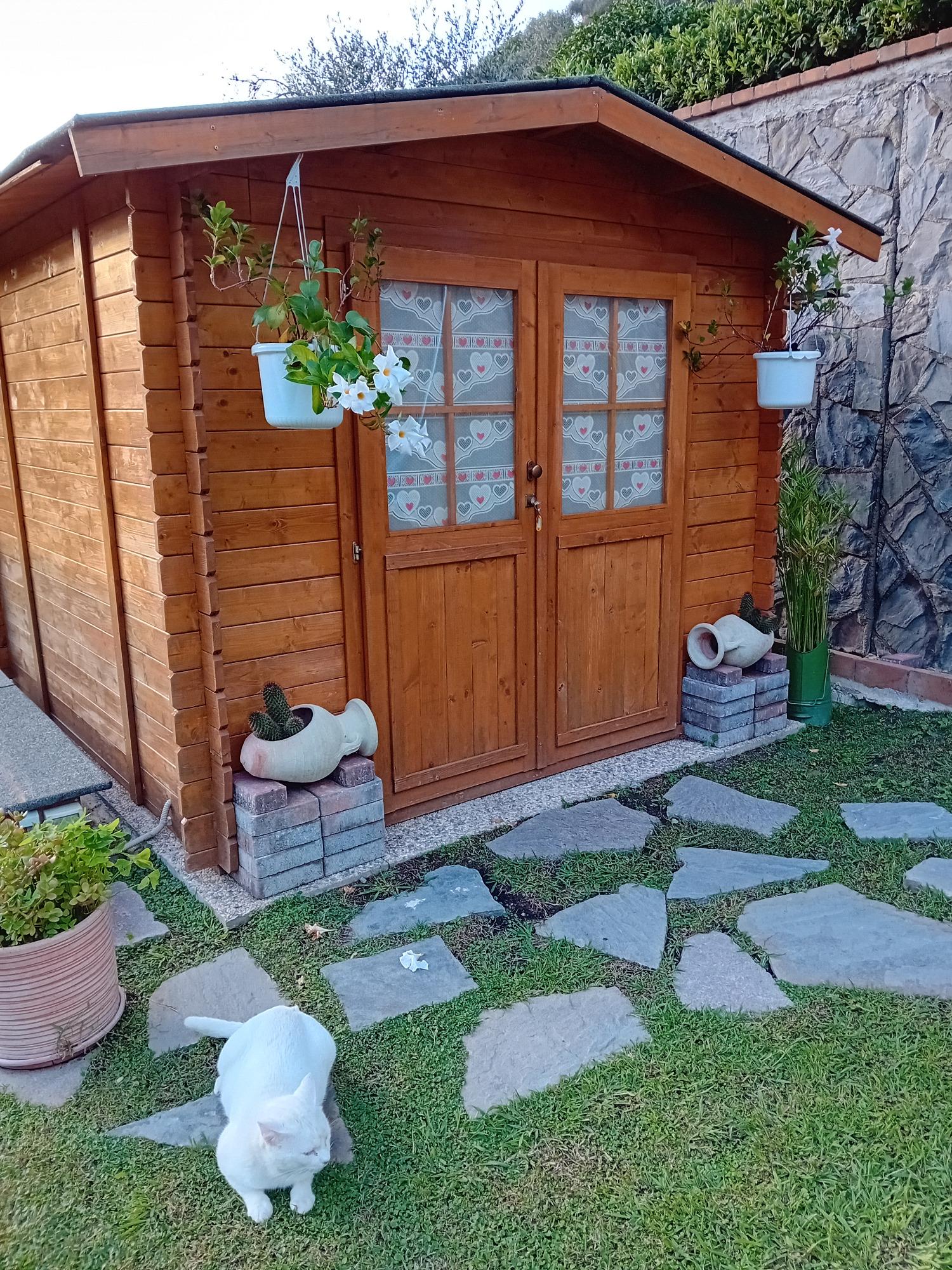 casetta in legno nel giardino del bed and breakfast vignola di levanto