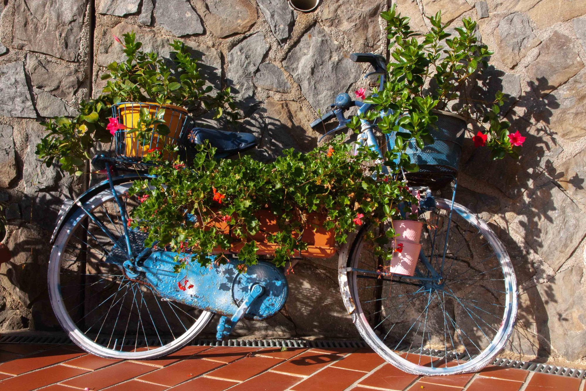 bicicletta portafiori nel giardino del bed and breakfast vignola di levanto