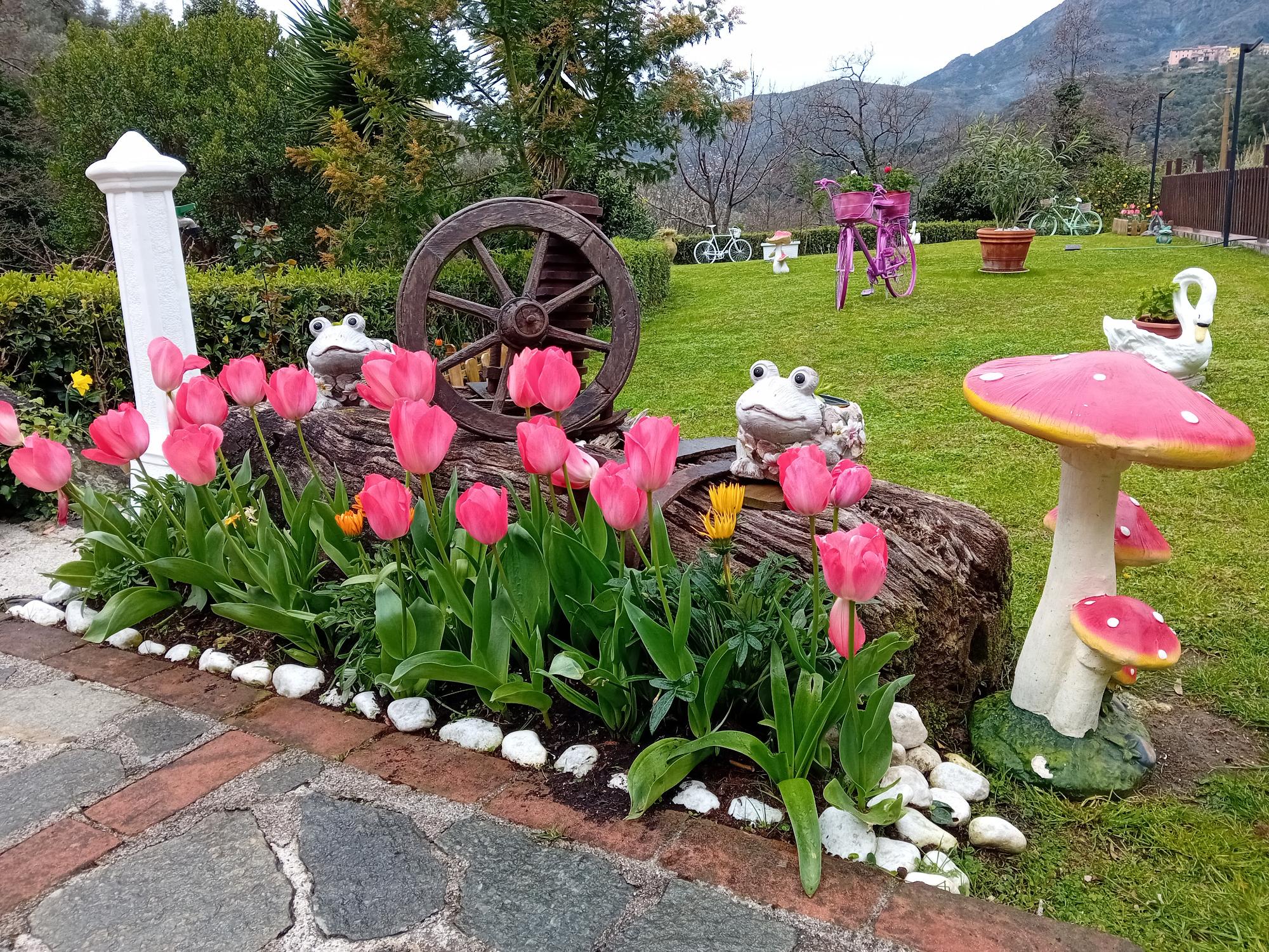 aiuola con tulipani nel girdino del bed and breakfast vignola di levanto