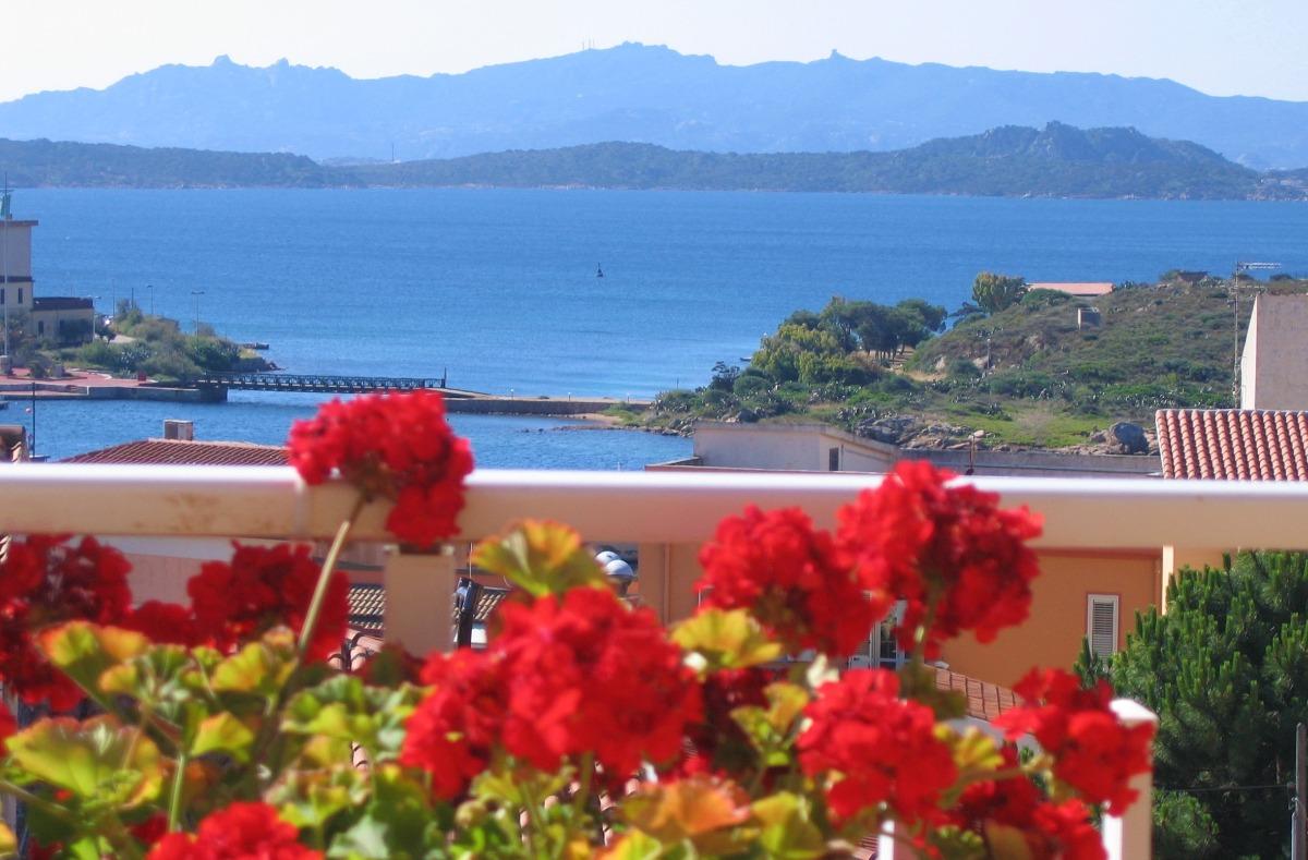 Foto gerani Il Sorriso