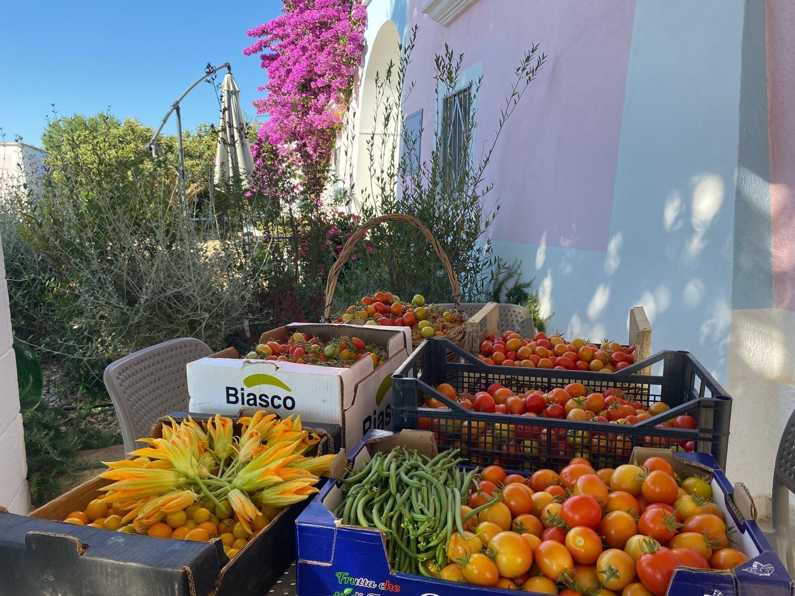 Il ristorante di MASSERIA TRULLO SOVRANO EXCLUSIVE B&B