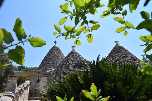 La Rosa dei Trulli