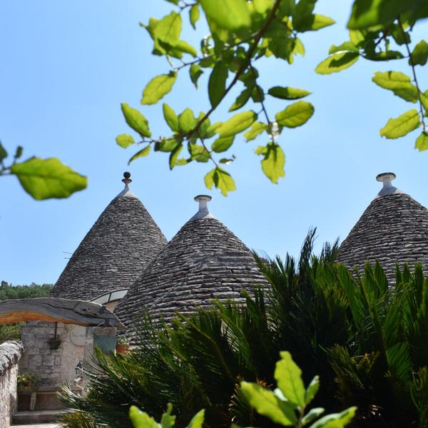 la rosa dei trulli