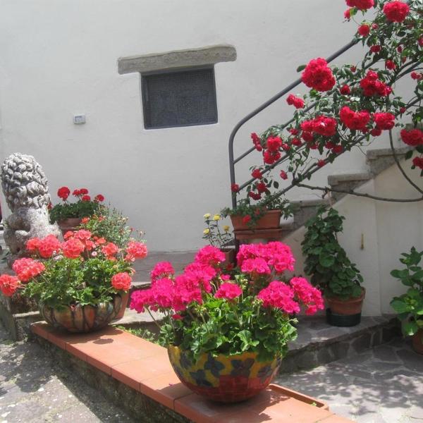  La Casa Delle Rose Di Maria
