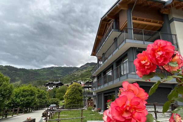 Chambres d'Hotes Verger Plein Soleil