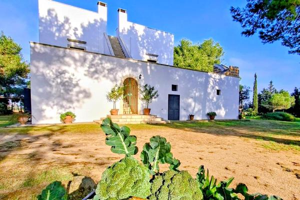 Masseria Fracchicchi