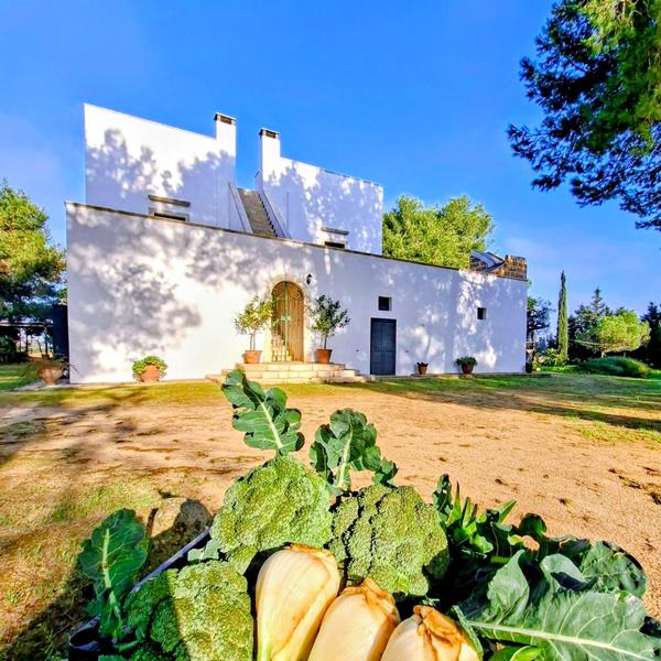  Masseria Fracchicchi