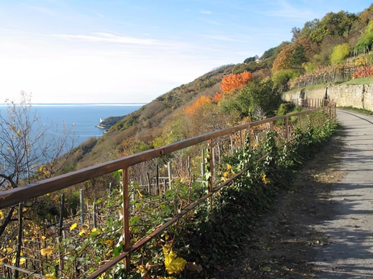 salita di Contovello