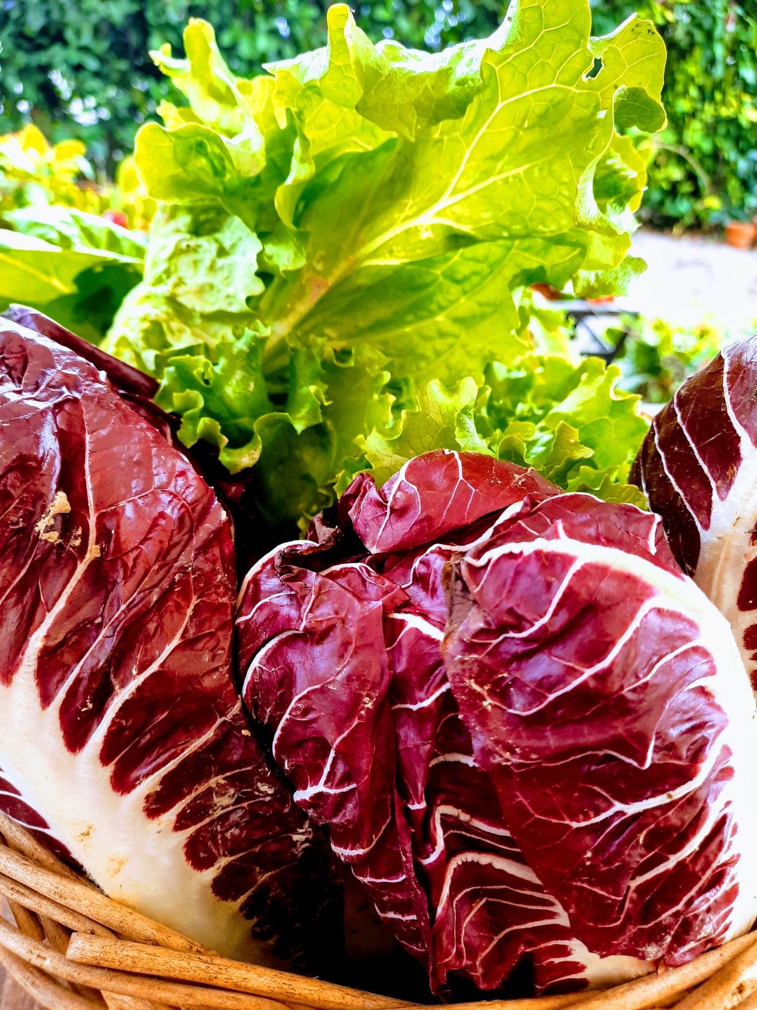 Il ristorante di AGRITURISMO AI CARPINI