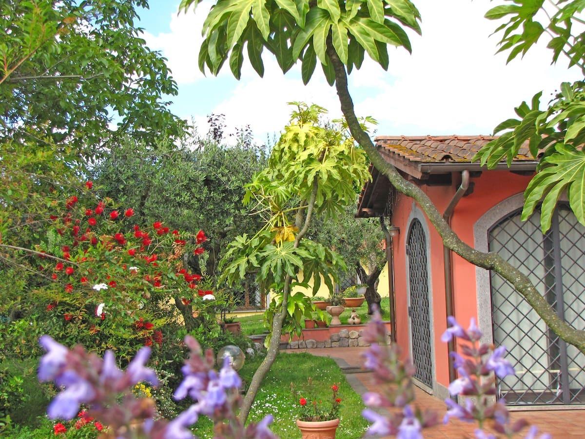 B&B Ai Glicini Castelli Romani - giardino