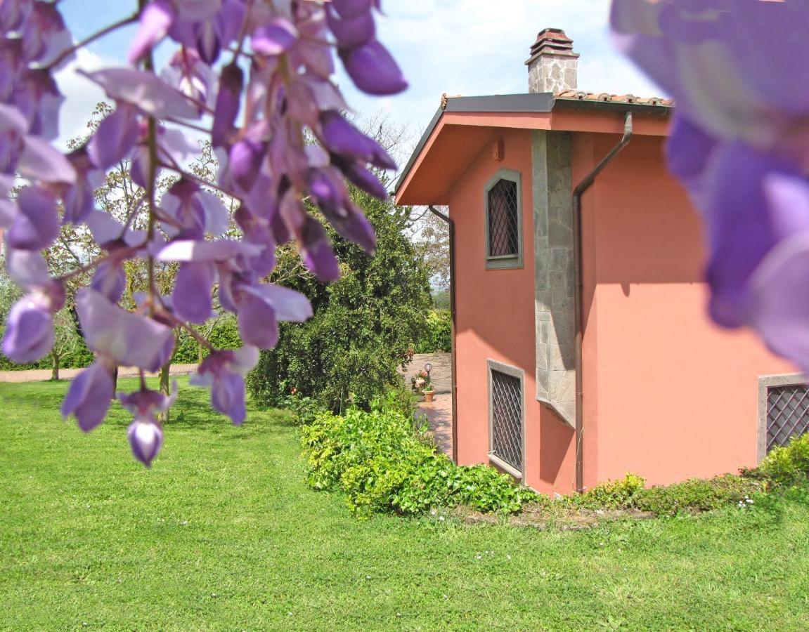 B&B Ai Glicini Castelli Romani - giardino