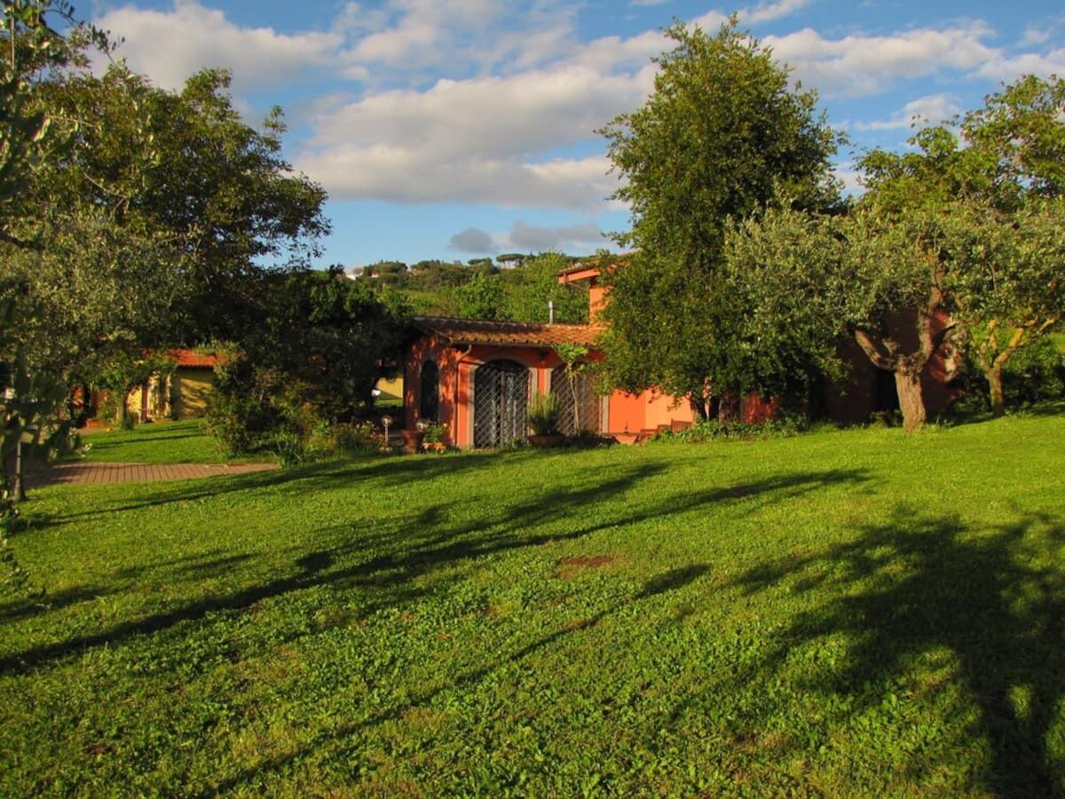 B&B Ai Glicini Castelli Romani - giardino