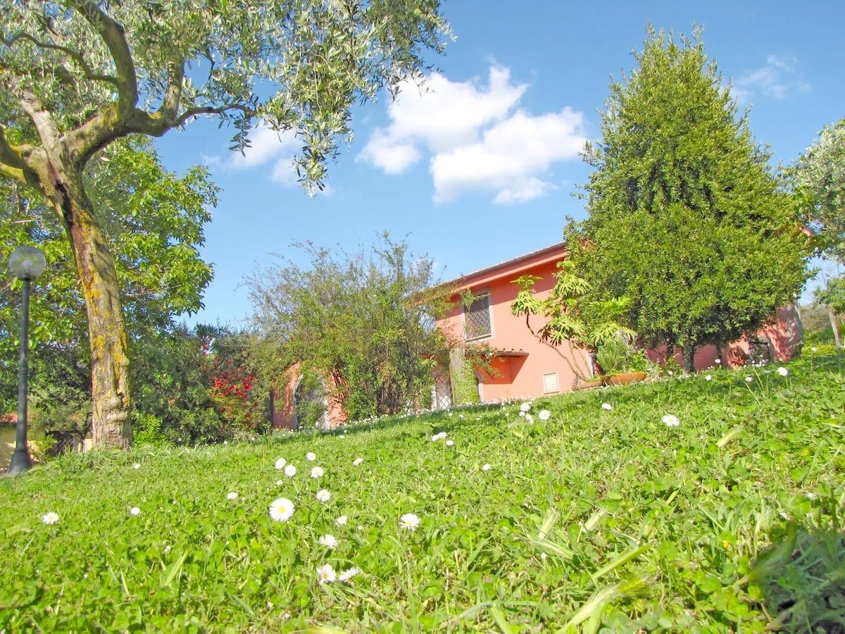 B&B Ai Glicini Castelli Romani - giardino