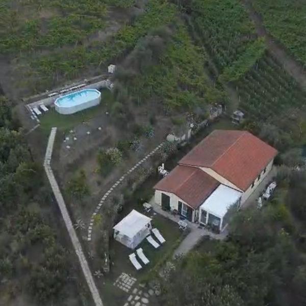 la collina verde