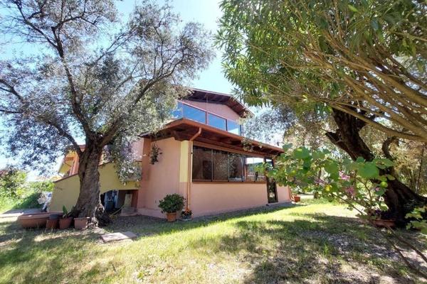 Casa L'Antico Ulivo