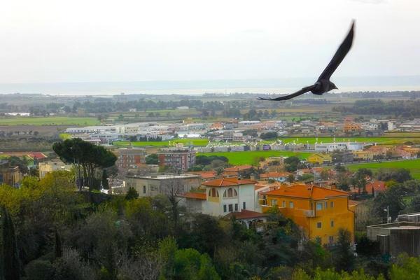 Al Castello