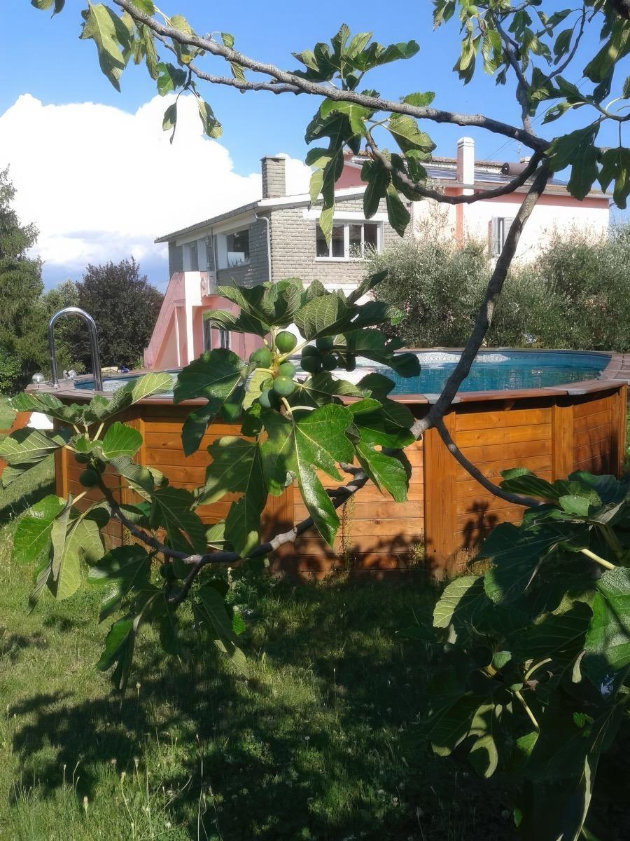 piscina giardino e struttura