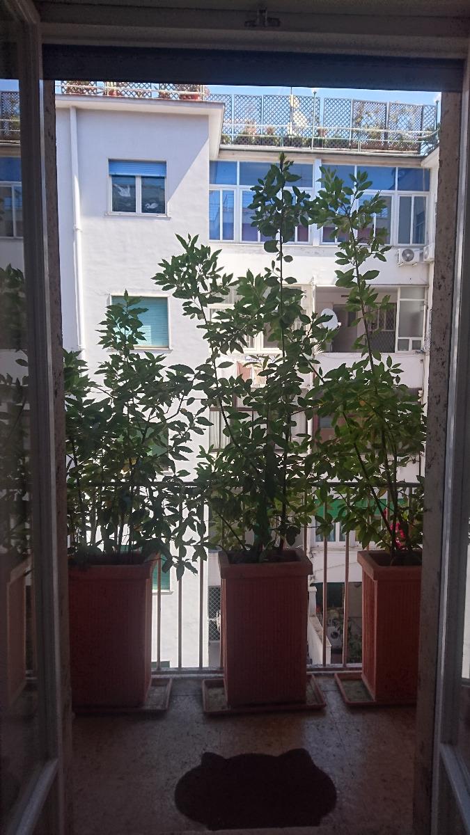 Balcone della stanza - Room balcony - Le balcon de la chambre