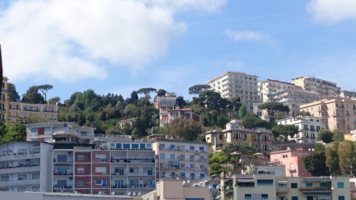 Vista dalla camera - View from the room