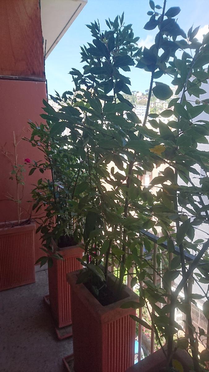 Balcone della camera - Room balcony - Balcon de la chambre