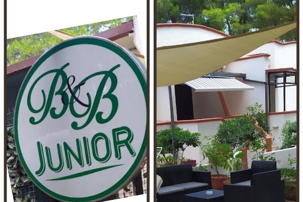 Junior B&B