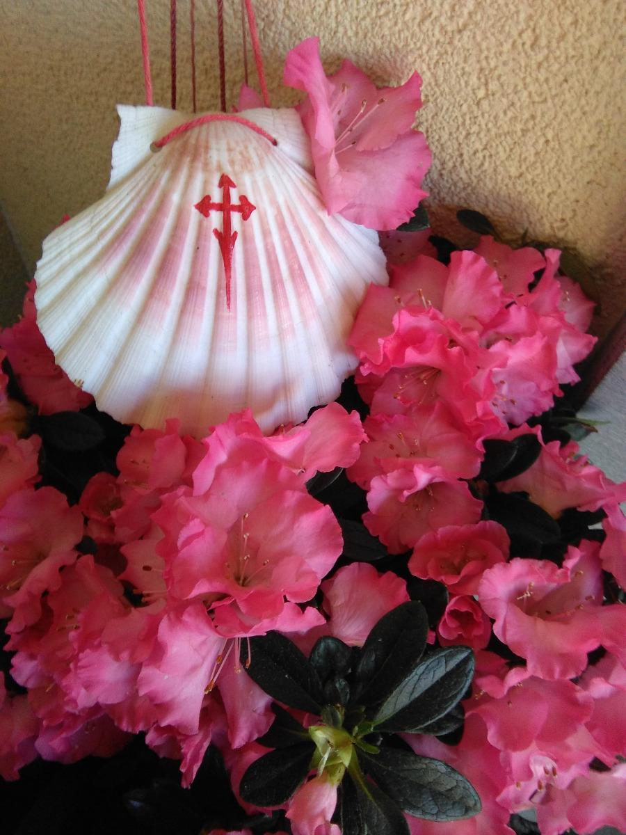 siamo pellegrini della via lattea...