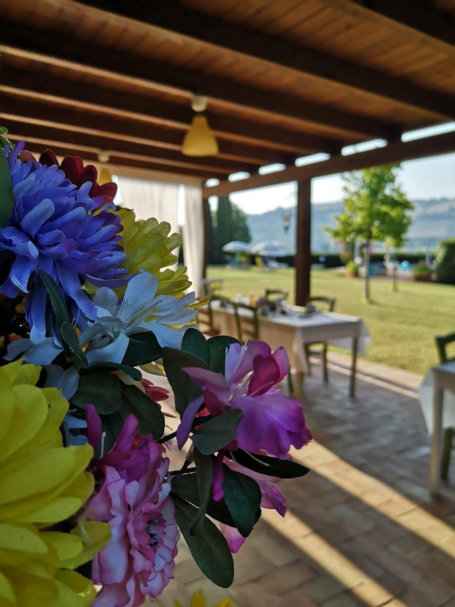 La colazione di IL GALLO DEL VICINO