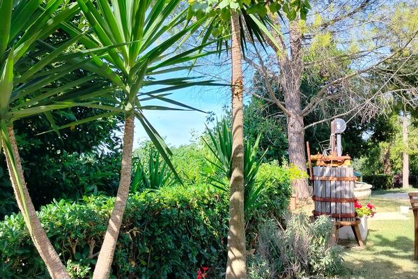 B&B La Campagna del Conero