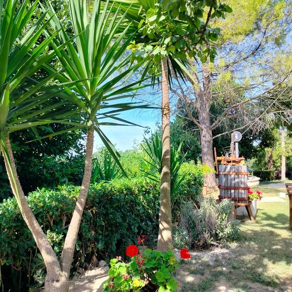  B&B La Campagna Del Conero