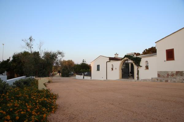 Fontanelle
