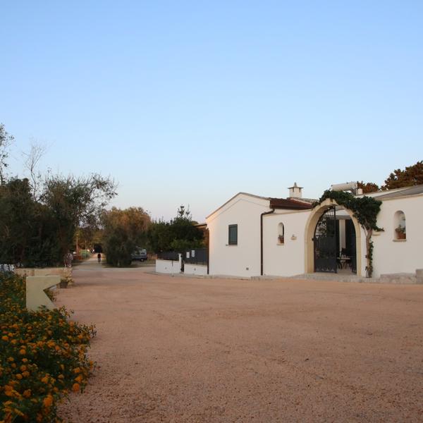 fontanelle