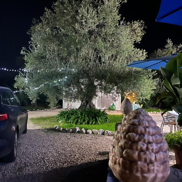 b&b villa mediterranea with parking space