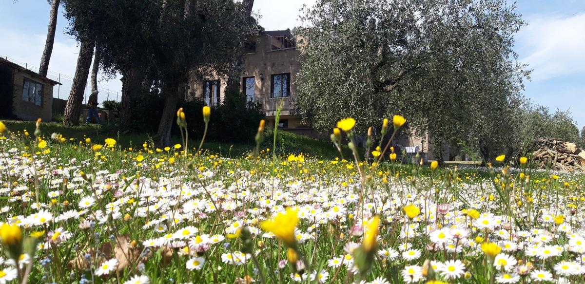 Immerso nella natura