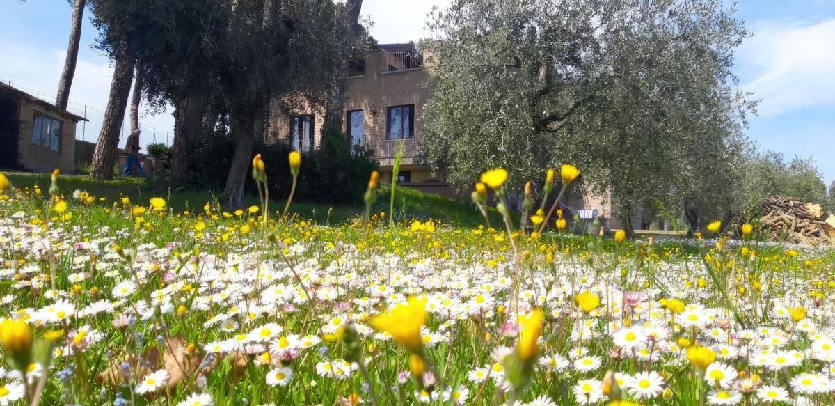 LA CASA NELLA PRATERIA B&B immerso nella natura