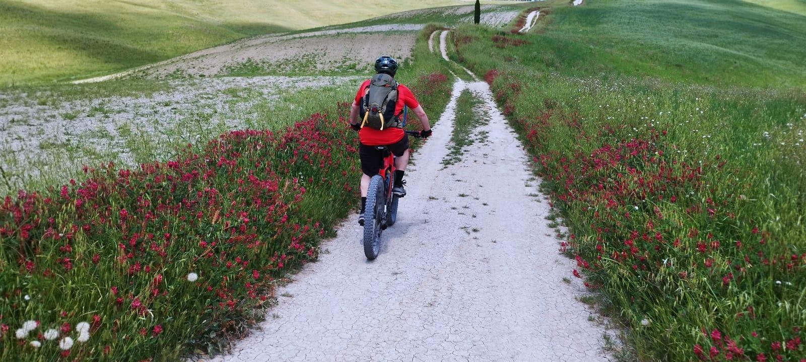 Val d'Orcia by e-bike