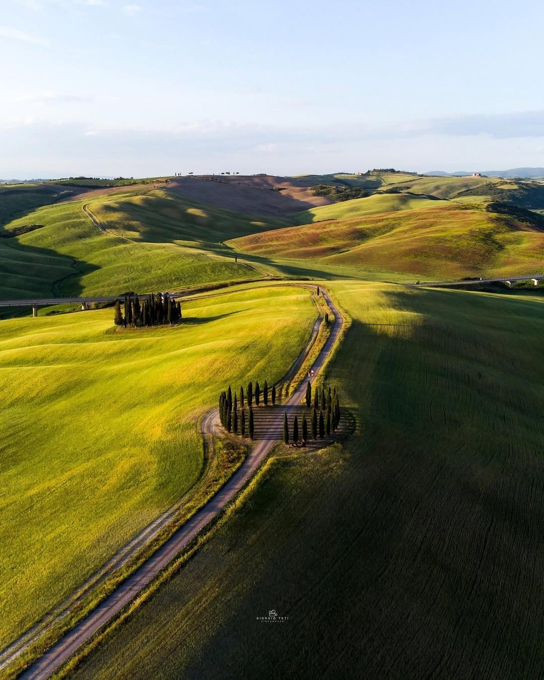 The cypresses of Val d'Orcia