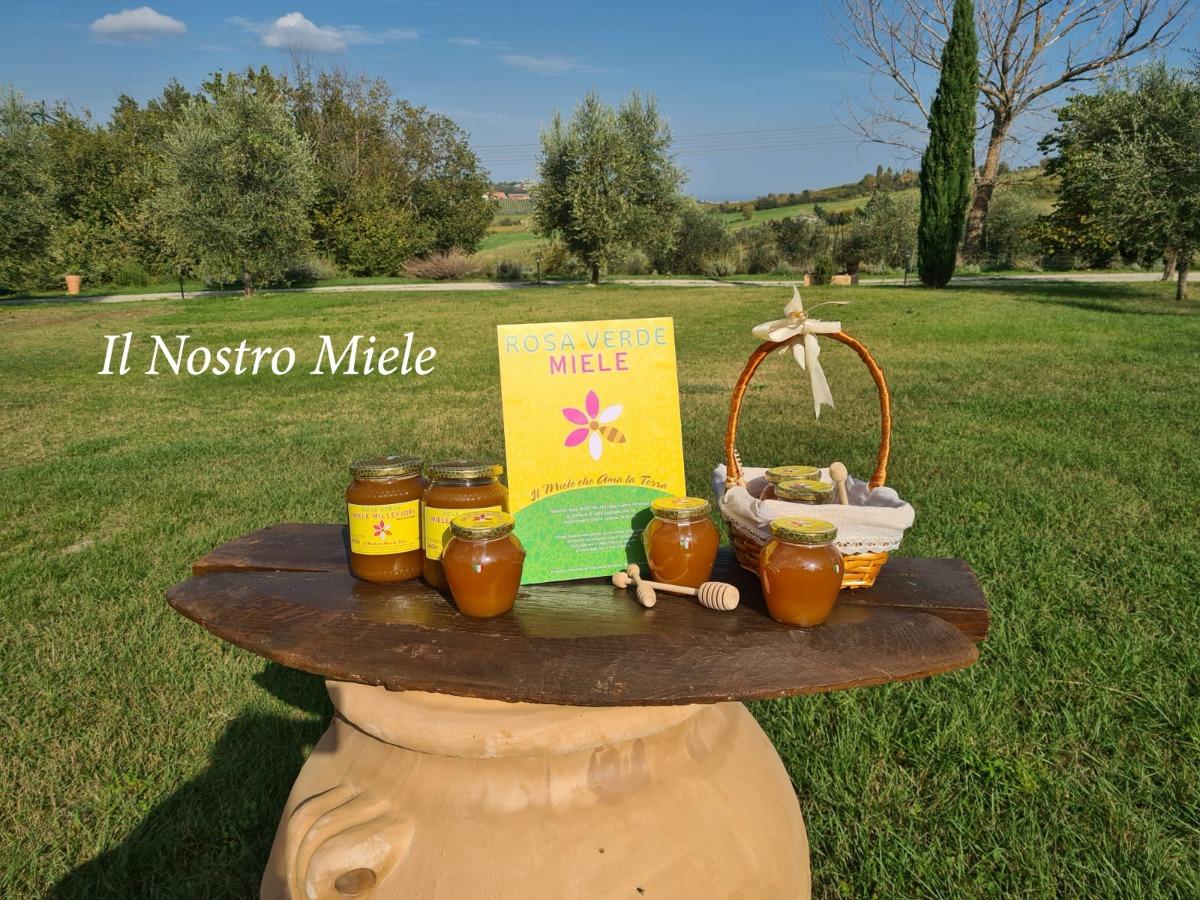 il miele delle nostre api