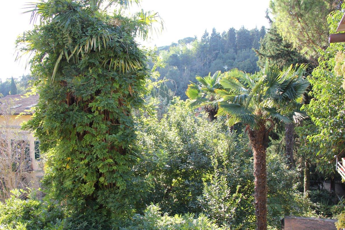 vista dalla terrazza