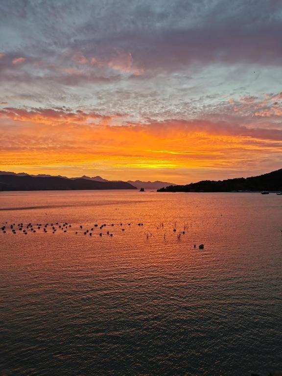 Alba vista dal giardino