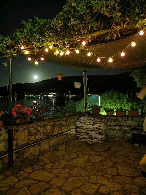 Il giardino la notte